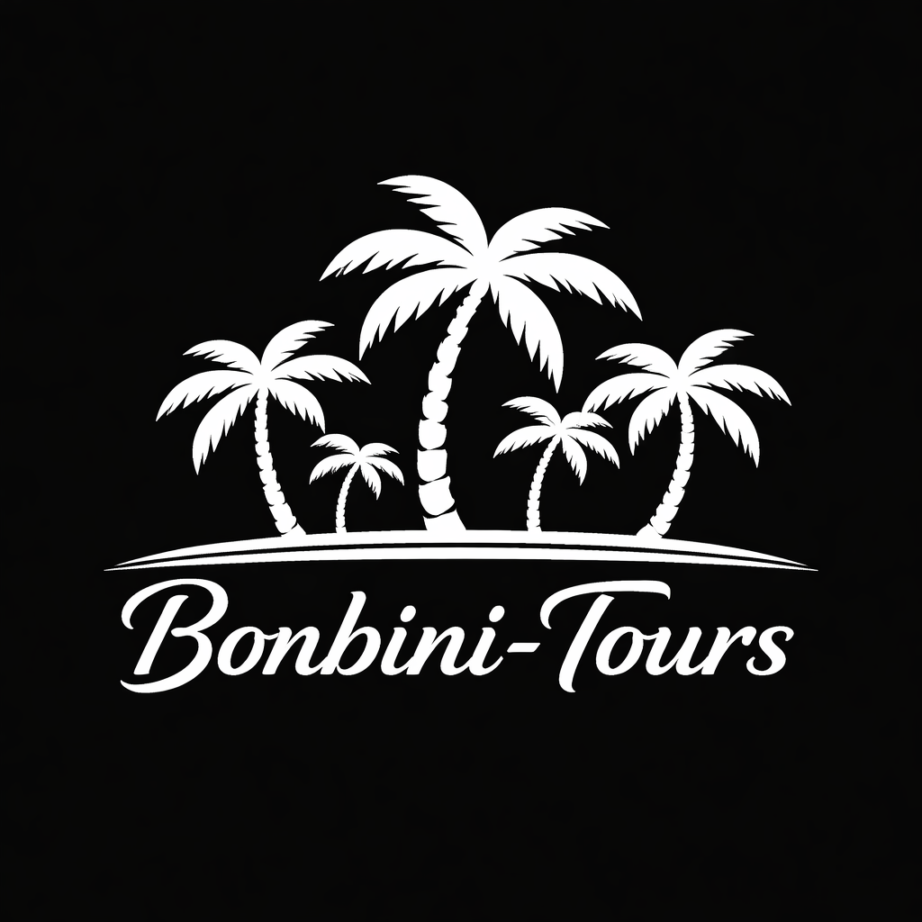 Bonbini Tours logo